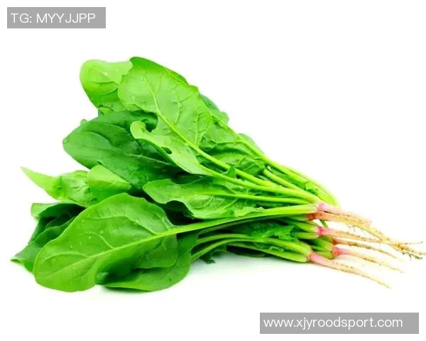 足球脚法的技巧与训练方法解析助你提升球技的全面指南